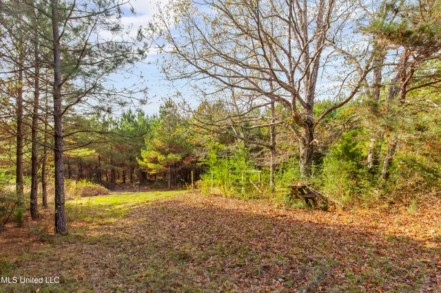 $165,000 | Katie Bush Road, Pinola, MS 39149