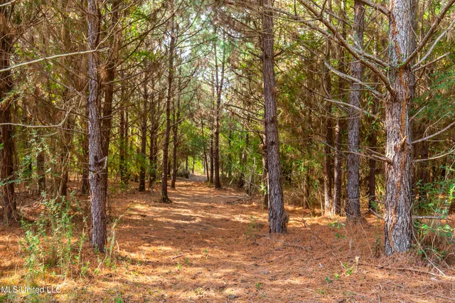 $165,000 | Katie Bush Road, Pinola, MS 39149