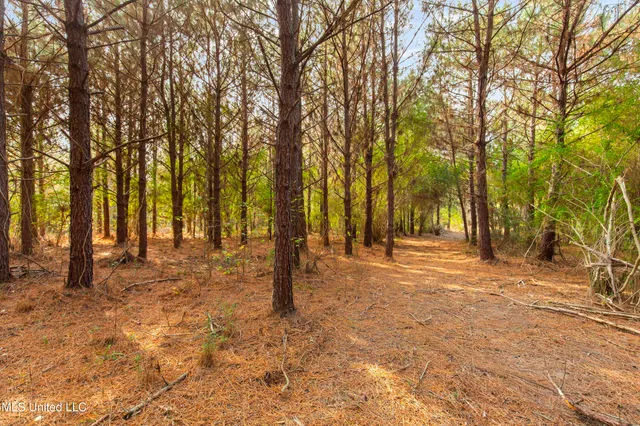 $165,000 | Katie Bush Road, Pinola, MS 39149