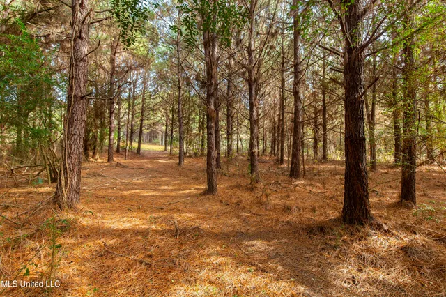 $165,000 | Katie Bush Road, Pinola, MS 39149