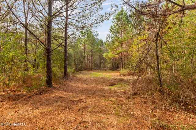 $165,000 | Katie Bush Road, Pinola, MS 39149