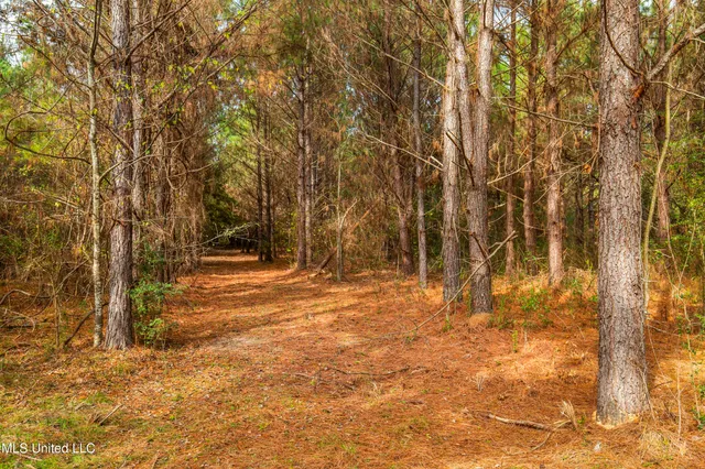 $165,000 | Katie Bush Road, Pinola, MS 39149