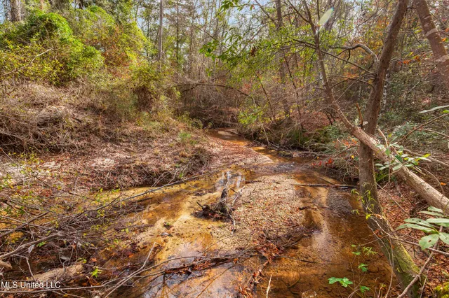 $165,000 | Katie Bush Road, Pinola, MS 39149