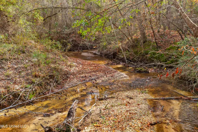 $165,000 | Katie Bush Road, Pinola, MS 39149