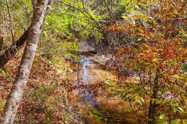 $165,000 | Katie Bush Road, Pinola, MS 39149