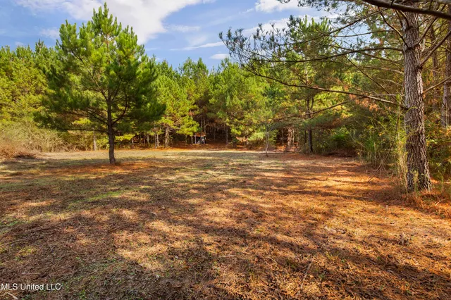 $165,000 | Katie Bush Road, Pinola, MS 39149