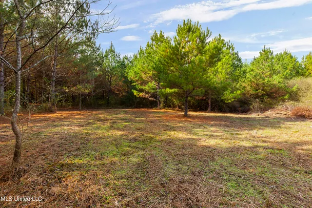 $165,000 | Katie Bush Road, Pinola, MS 39149