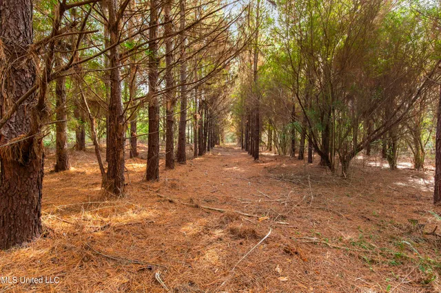 $165,000 | Katie Bush Road, Pinola, MS 39149
