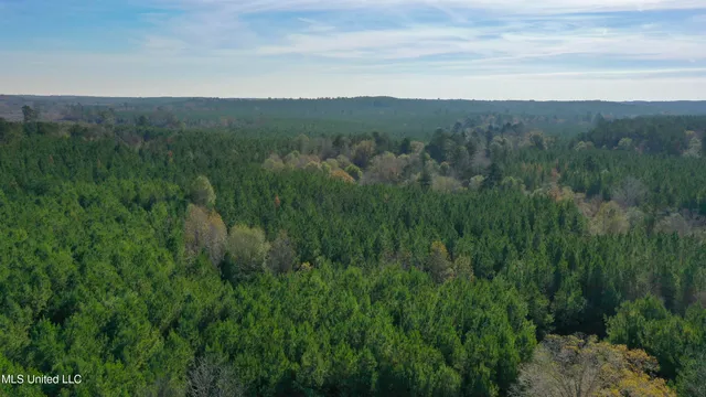 $165,000 | Katie Bush Road, Pinola, MS 39149