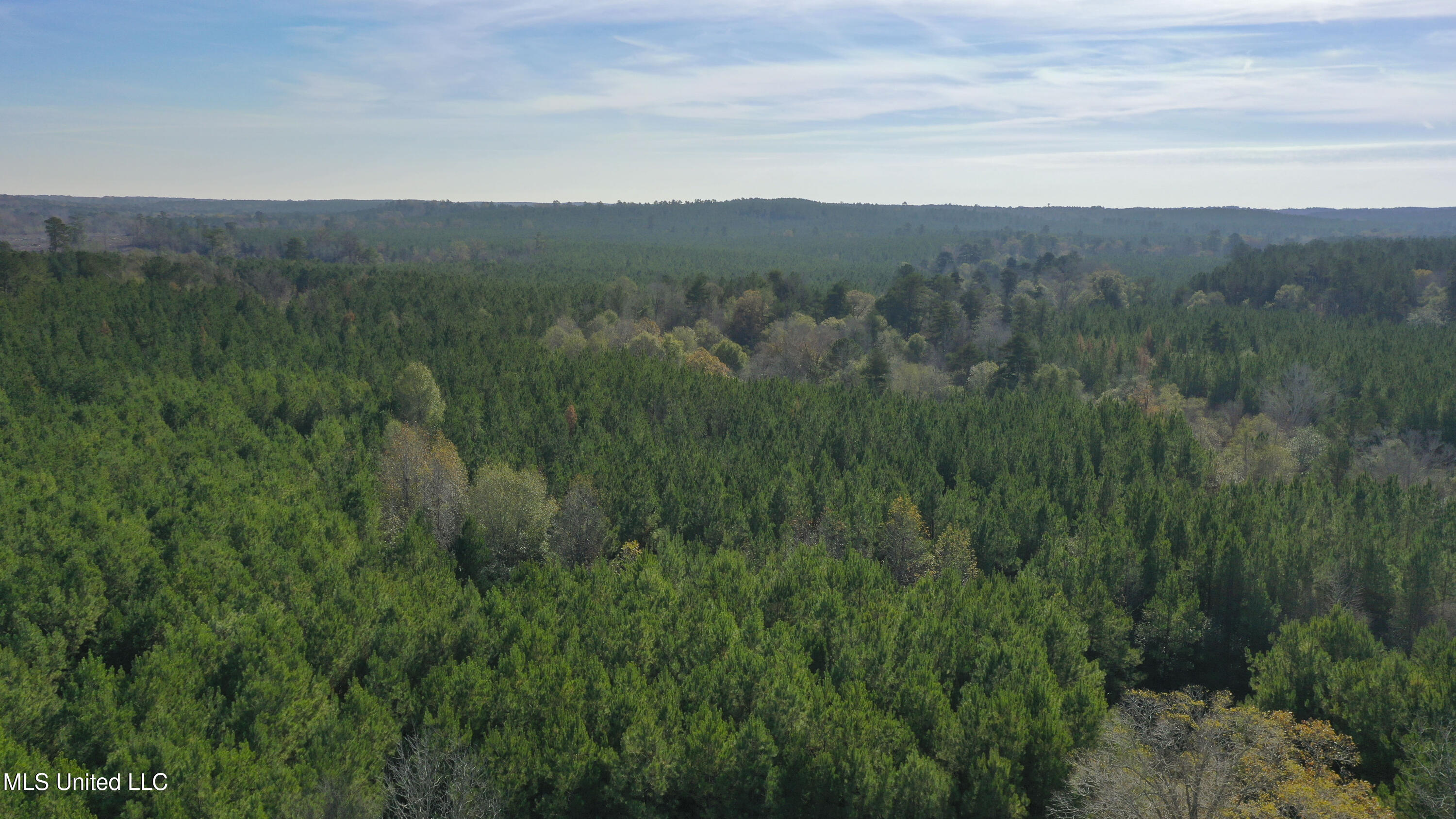 Katie Bush Road Pinola, MS 39149 - Photo 27 of 38 Simpson 55 Acres-27