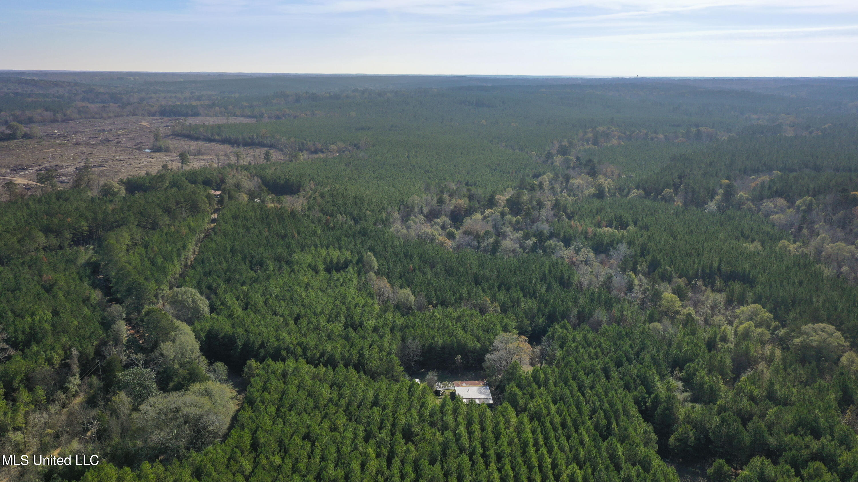 Katie Bush Road Pinola, MS 39149 - Photo 28 of 38 Simpson 55 Acres-28