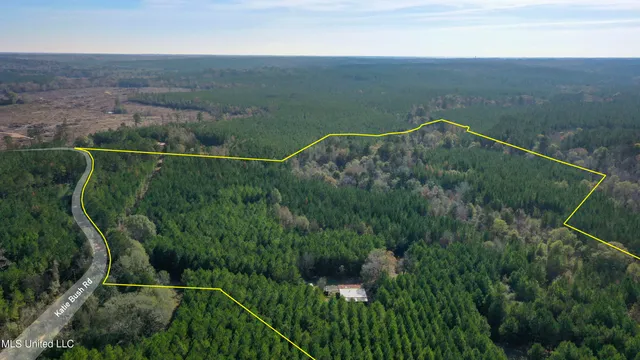 $165,000 | Katie Bush Road, Pinola, MS 39149