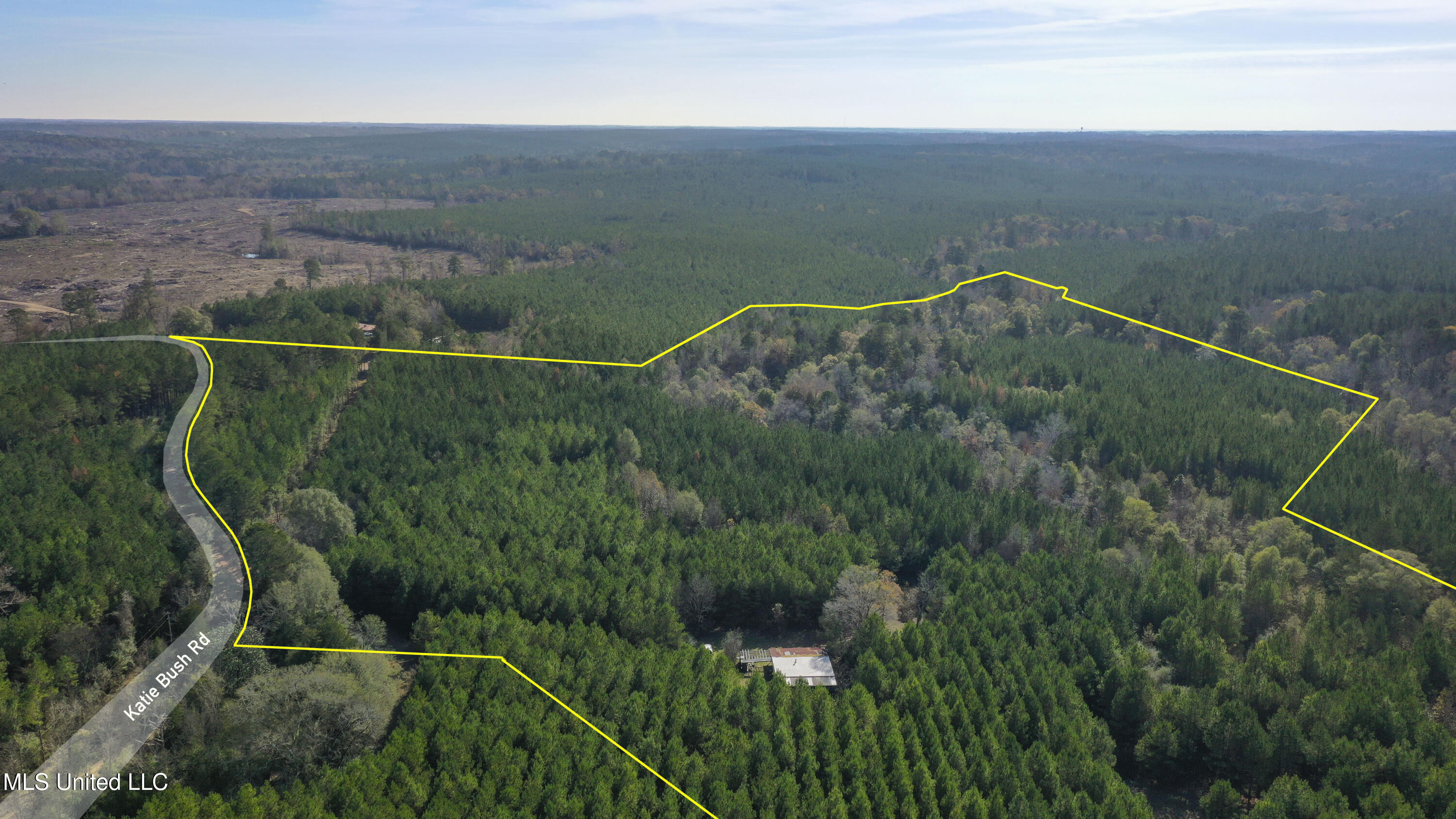 Katie Bush Road Pinola, MS 39149 - Photo 29 of 38 Simpson 55 Acres-28a