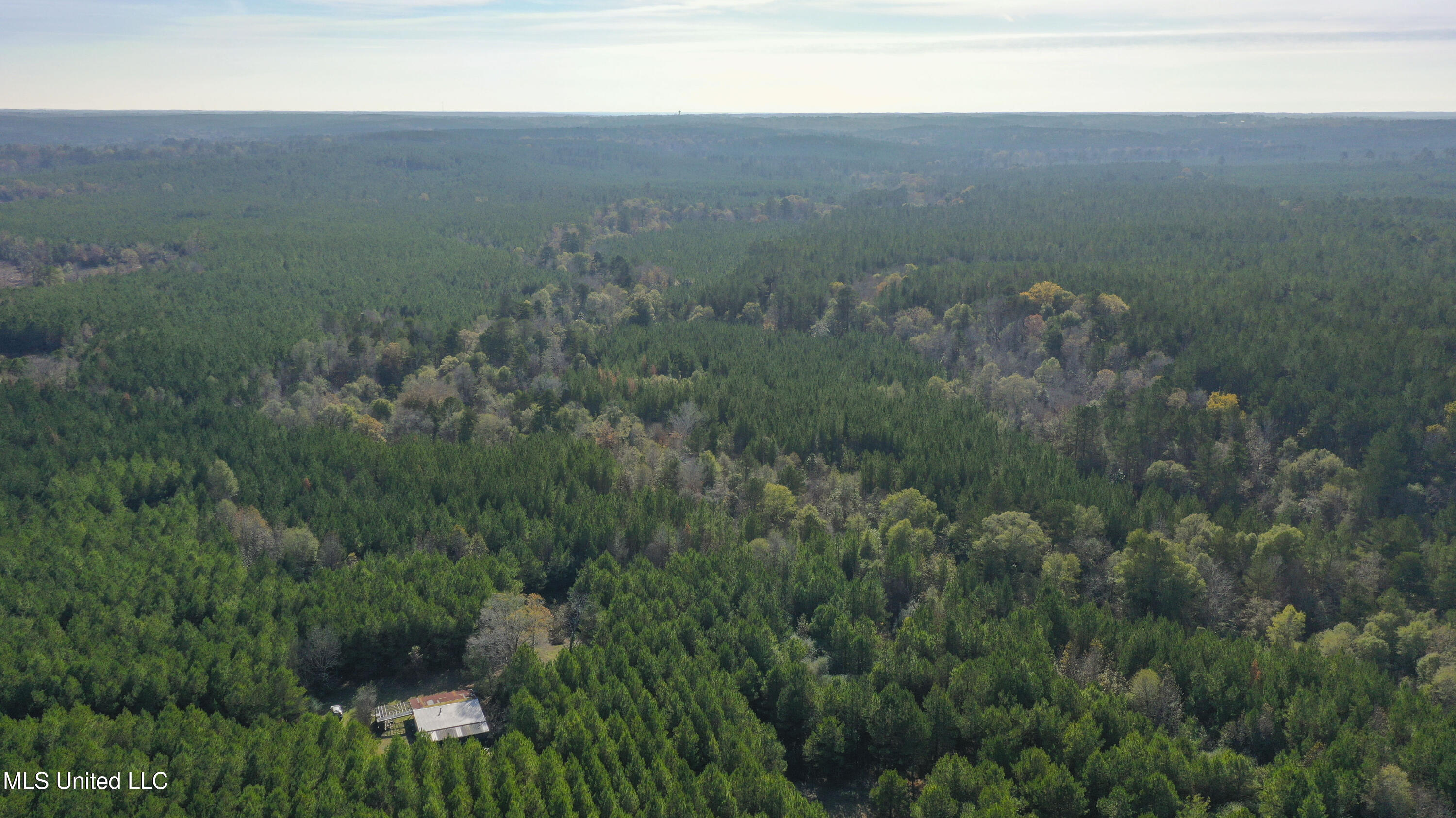 Katie Bush Road Pinola, MS 39149 - Photo 30 of 38 Simpson 55 Acres-29