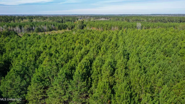 $165,000 | Katie Bush Road, Pinola, MS 39149