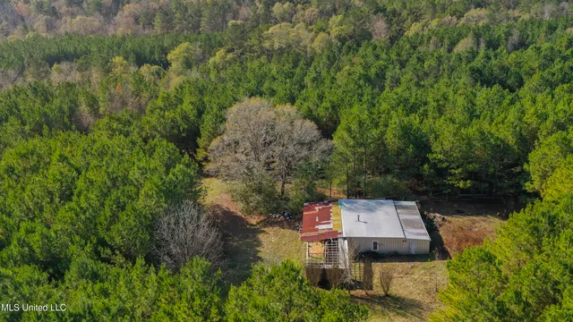 $165,000 | Katie Bush Road, Pinola, MS 39149