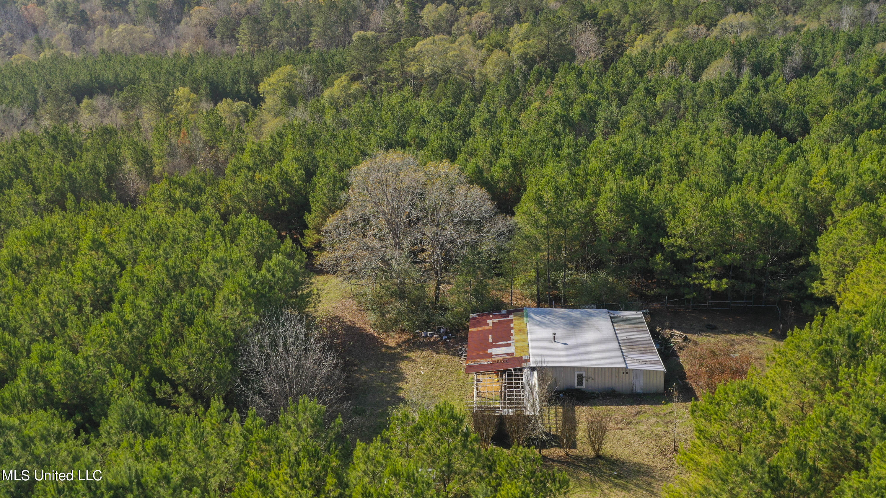 Katie Bush Road Pinola, MS 39149 - Photo 32 of 38 Simpson 55 Acres-31