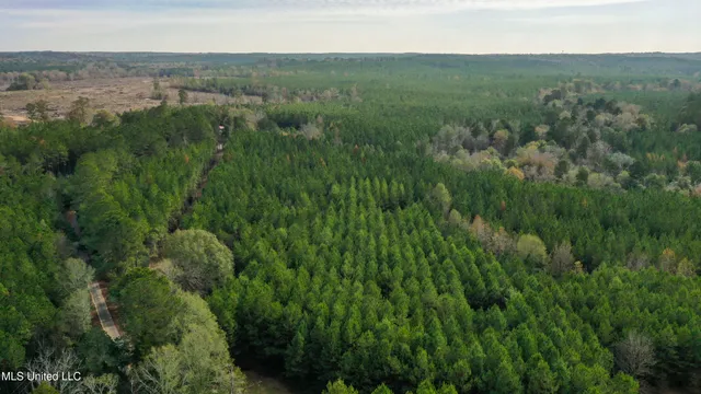 $165,000 | Katie Bush Road, Pinola, MS 39149