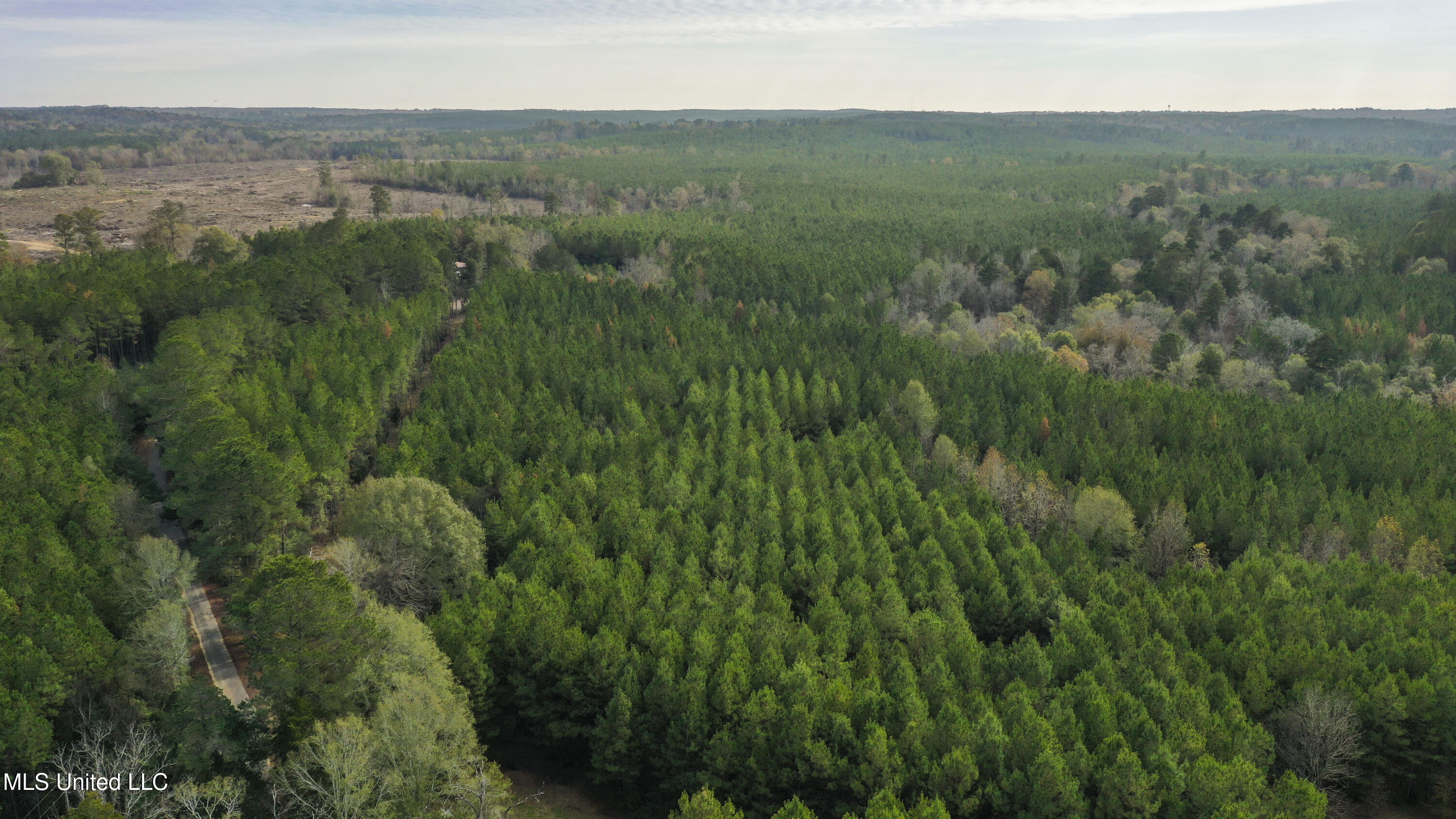 Katie Bush Road Pinola, MS 39149 - Photo 34 of 38 Simpson 55 Acres-33