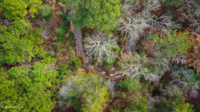 $165,000 | Katie Bush Road, Pinola, MS 39149