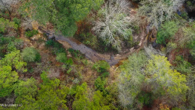 $165,000 | Katie Bush Road, Pinola, MS 39149