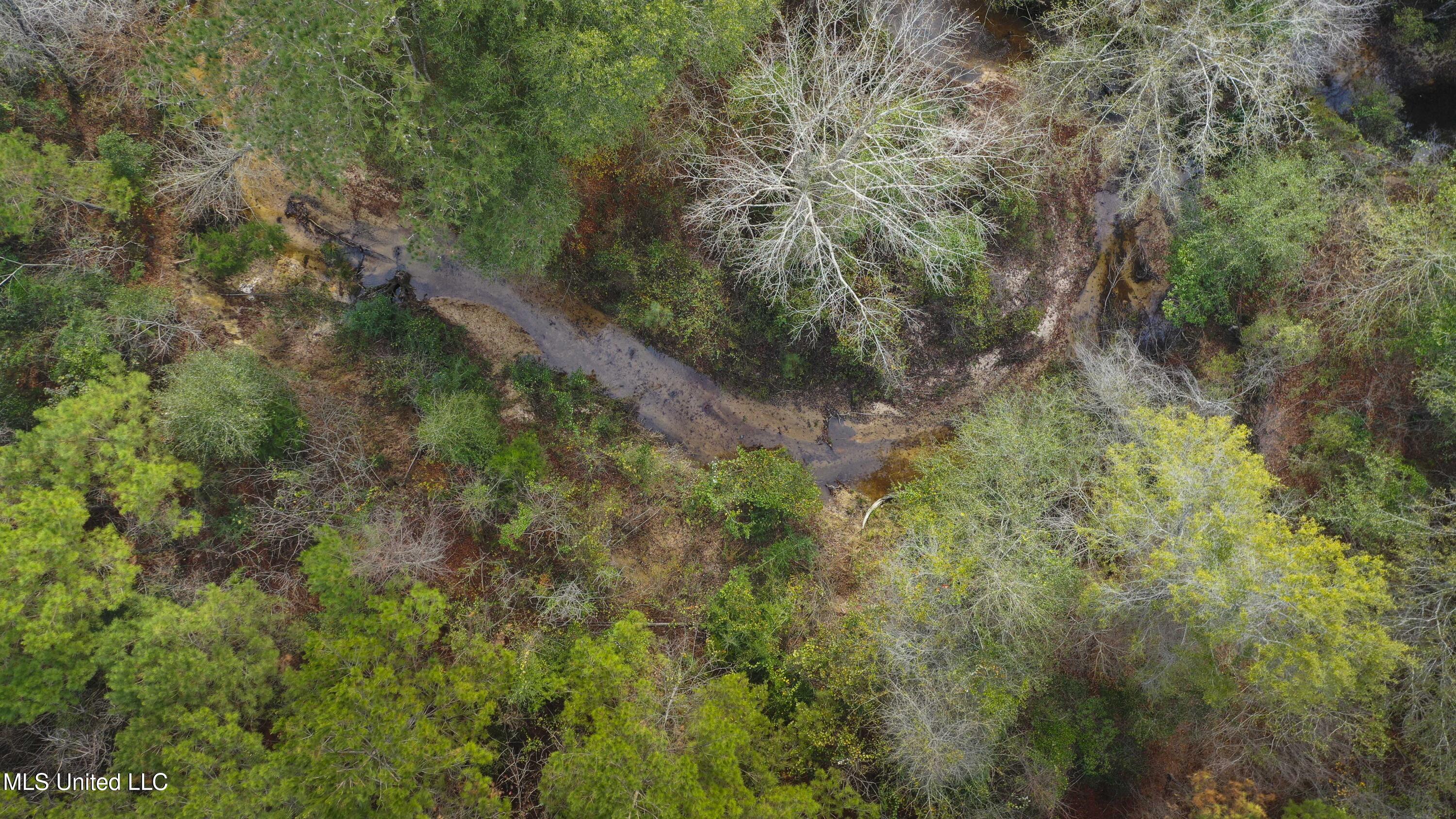 Katie Bush Road Pinola, MS 39149 - Photo 37 of 38 Simpson 55 Acres-36