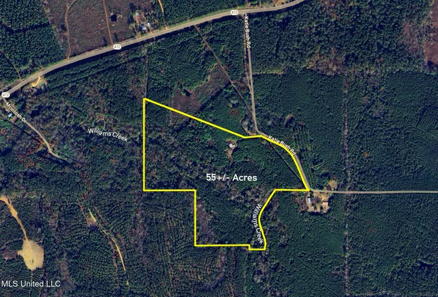 $165,000 | Katie Bush Road, Pinola, MS 39149