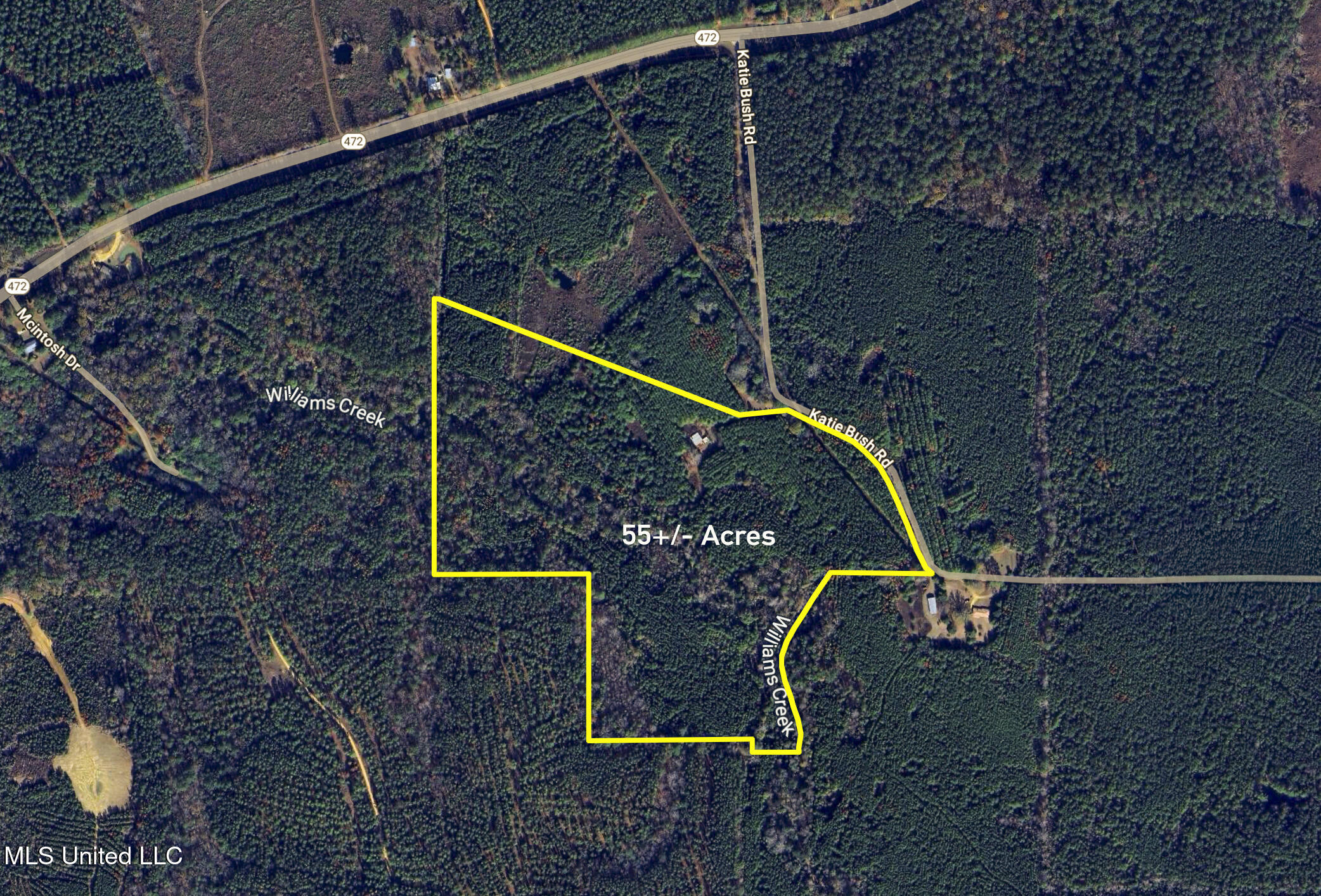 Katie Bush Road Pinola, MS 39149 - Photo 38 of 38 Simpson 55 Acres-37