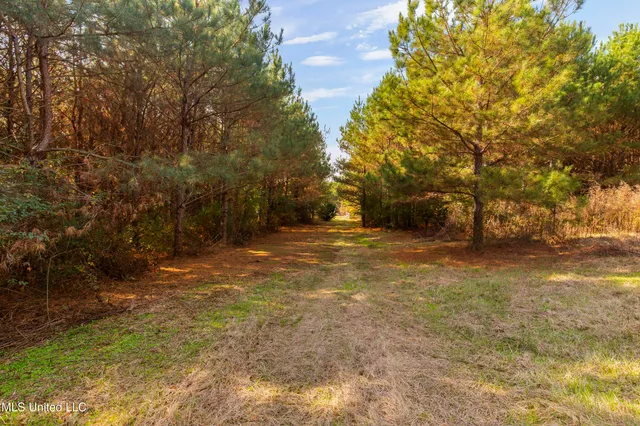 $165,000 | Katie Bush Road, Pinola, MS 39149