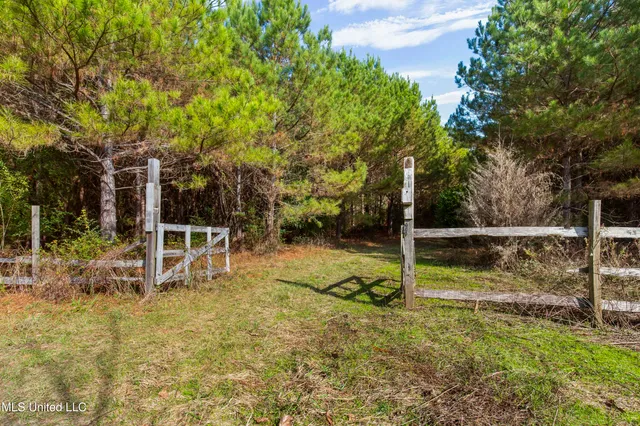$165,000 | Katie Bush Road, Pinola, MS 39149