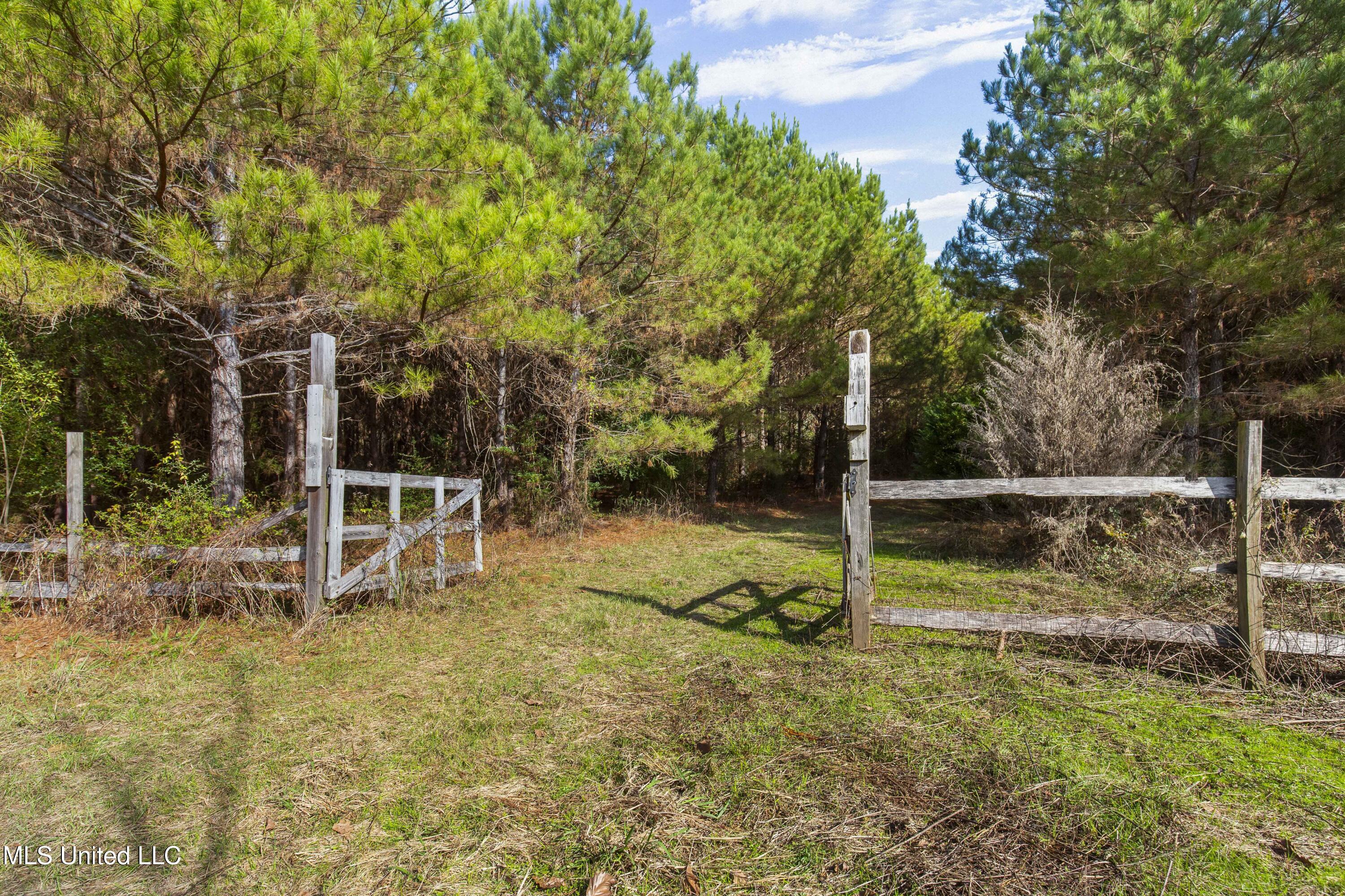 Katie Bush Road Pinola, MS 39149 - Photo 5 of 38 Simpson 55 Acres-5