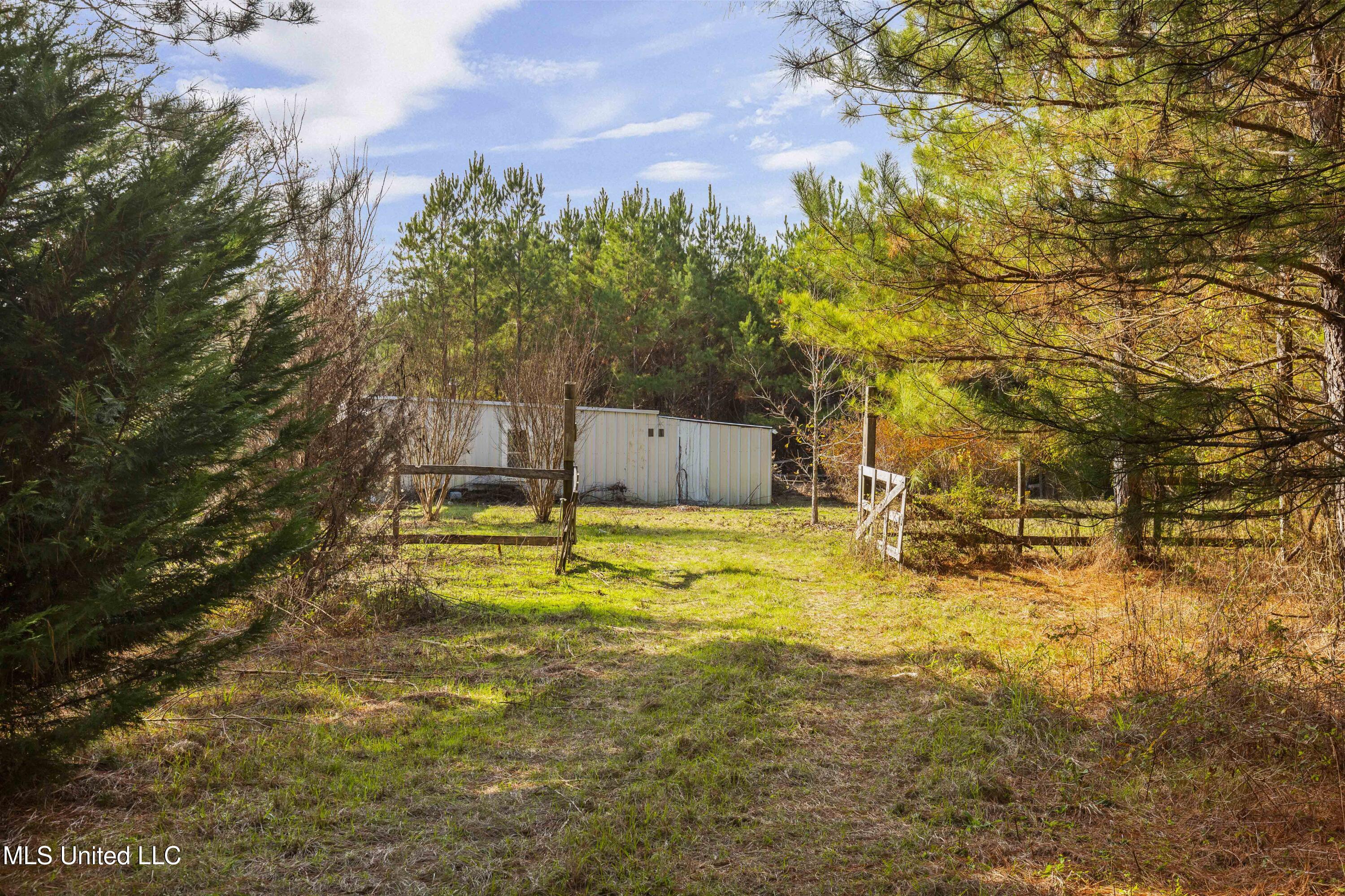 Katie Bush Road Pinola, MS 39149 - Photo 7 of 38 Simpson 55 Acres-7