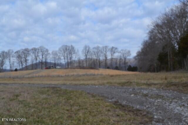 127 Rushing Springs Road Monterey, TN 38574 - Photo 25 of 57 DSC_0033