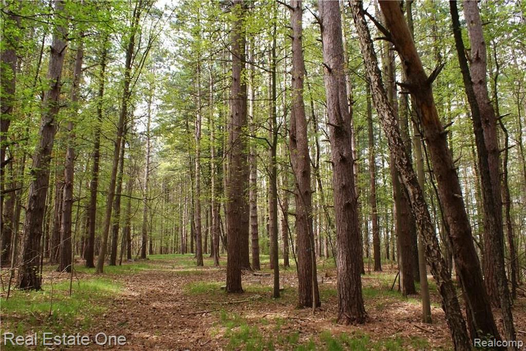 2 McKeen Lake Road Columbiaville, MI 48421 - Photo 15 of 51