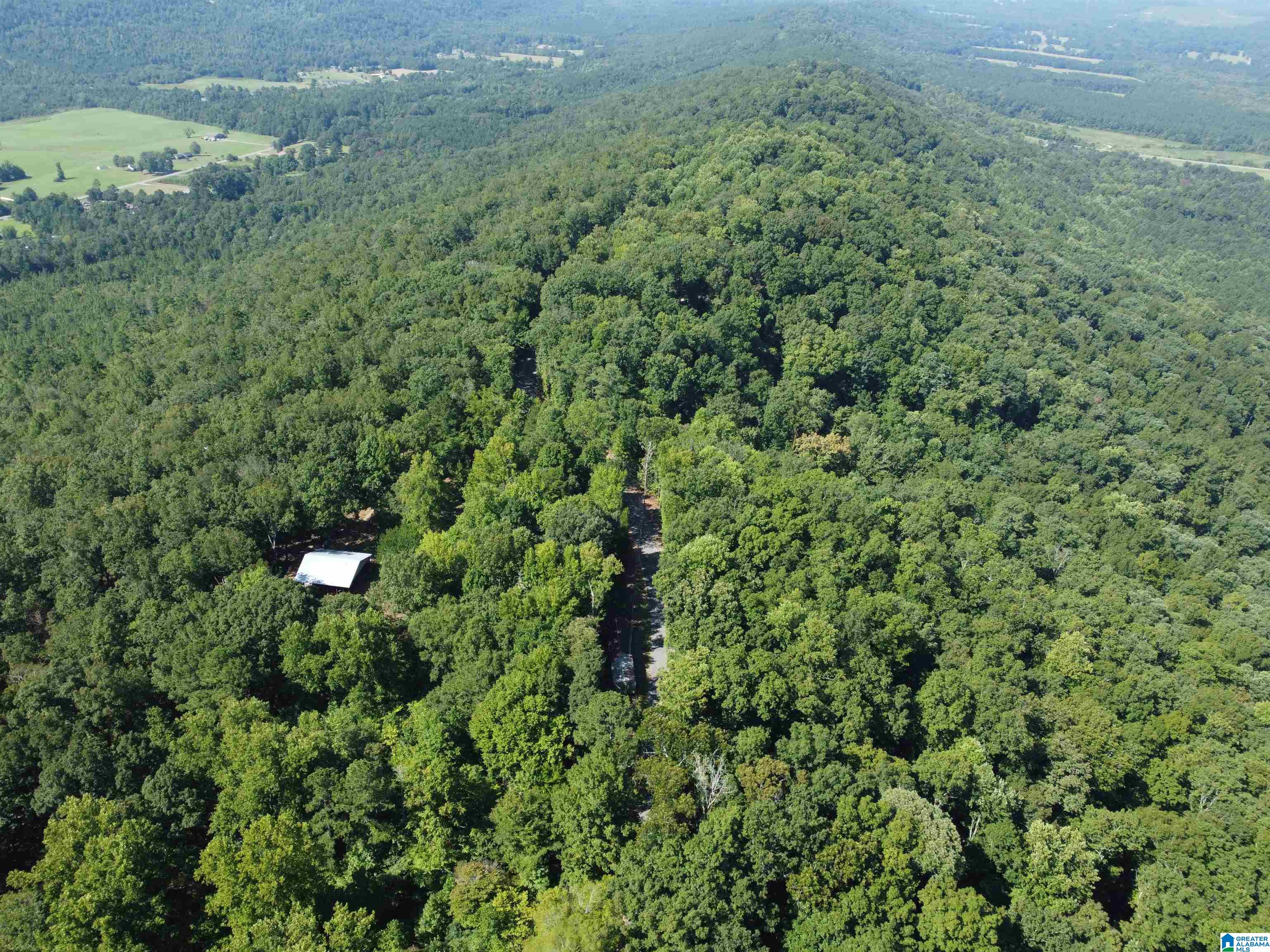 0 Beaver Mountain Road Ashville, AL 35953 - Photo 15 of 40