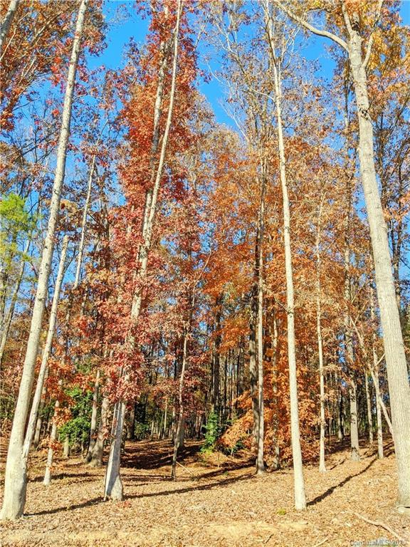 2941 Holbrook Road, Unit 20 Fort Mill, SC 29715 - Photo 11 of 18