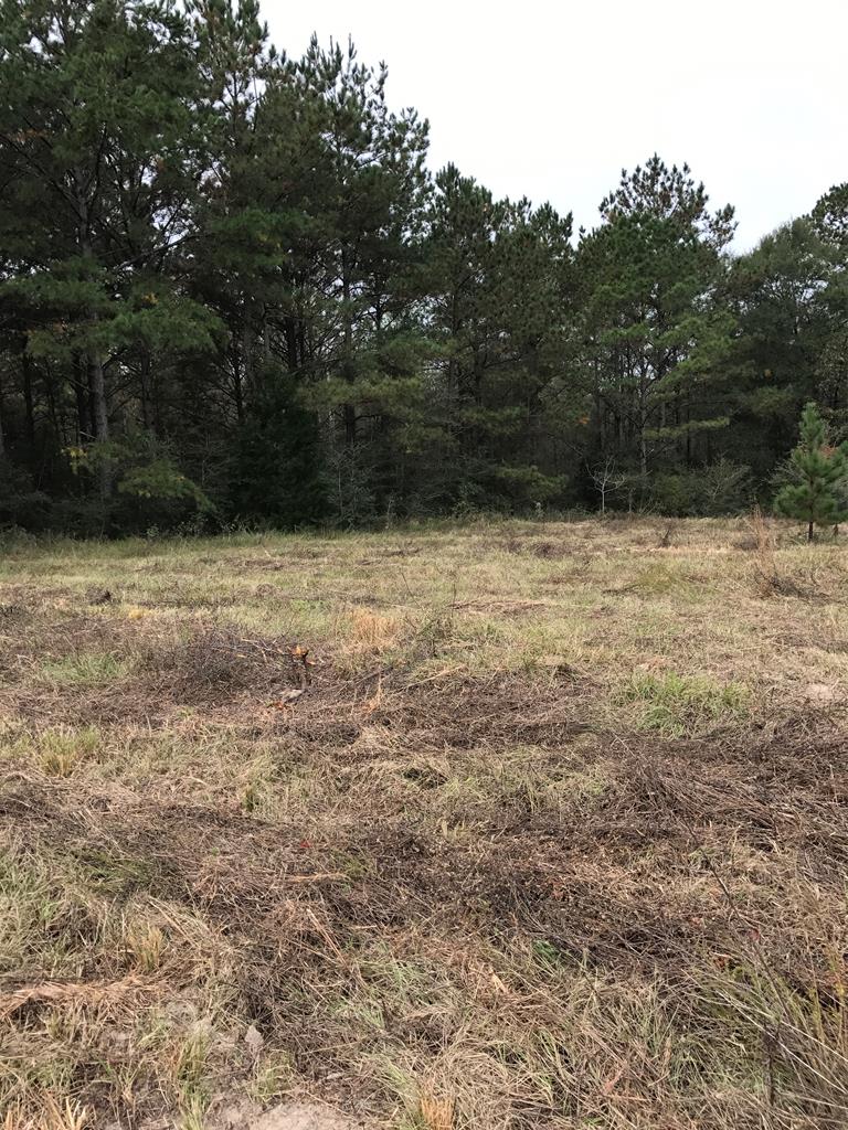 0 Rosin Ridge Red Level, AL 36474 - Photo 1 of 1
