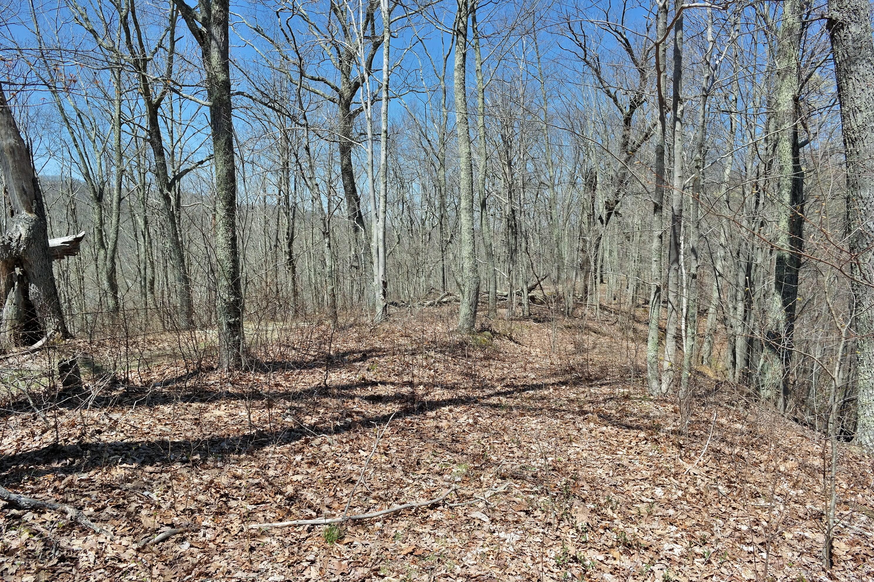 3678 Snake Run Road Alderson, WV 24910 - Photo 55 of 124 Gallery Image 55