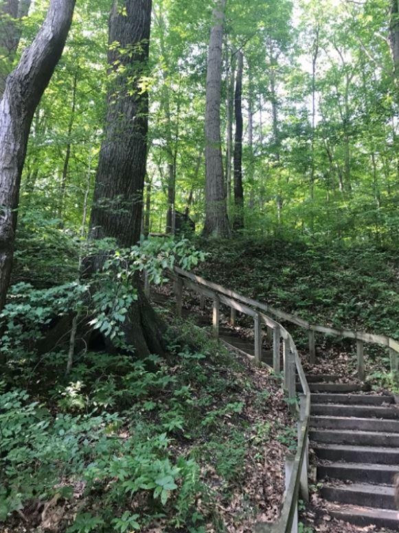 0 Warren Woods Road Lakeside, MI 49116 - Photo 12 of 17