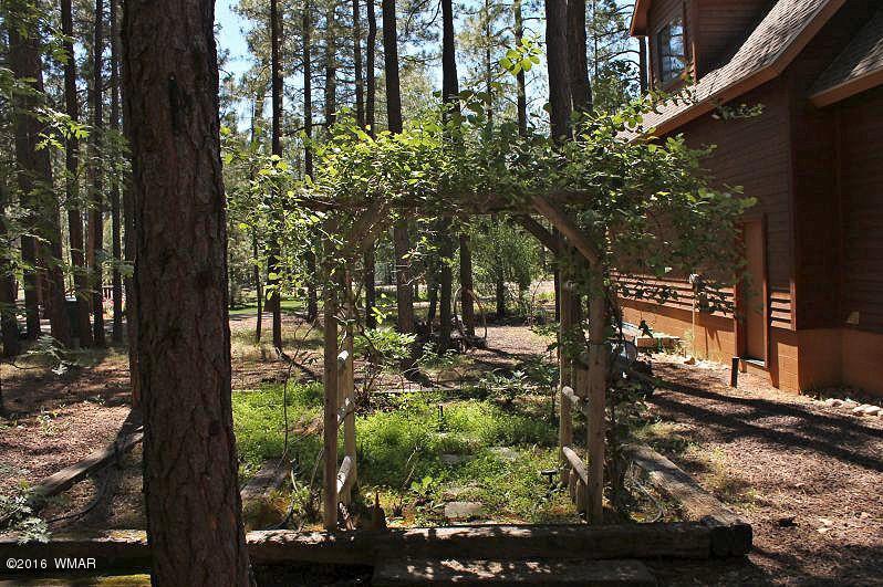 7277 Buck Springs Road Pinetop, AZ 85935 - Photo 59 of 66 Gallery Image 59