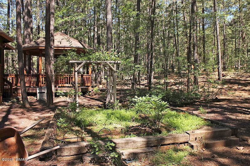 7277 Buck Springs Road Pinetop, AZ 85935 - Photo 60 of 66 Gallery Image 60