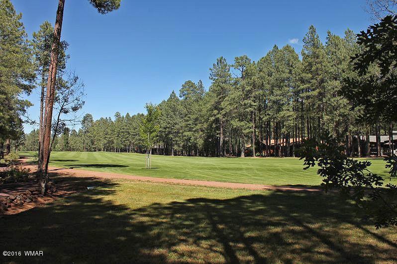 7277 Buck Springs Road Pinetop, AZ 85935 - Photo 66 of 66 Gallery Image 66