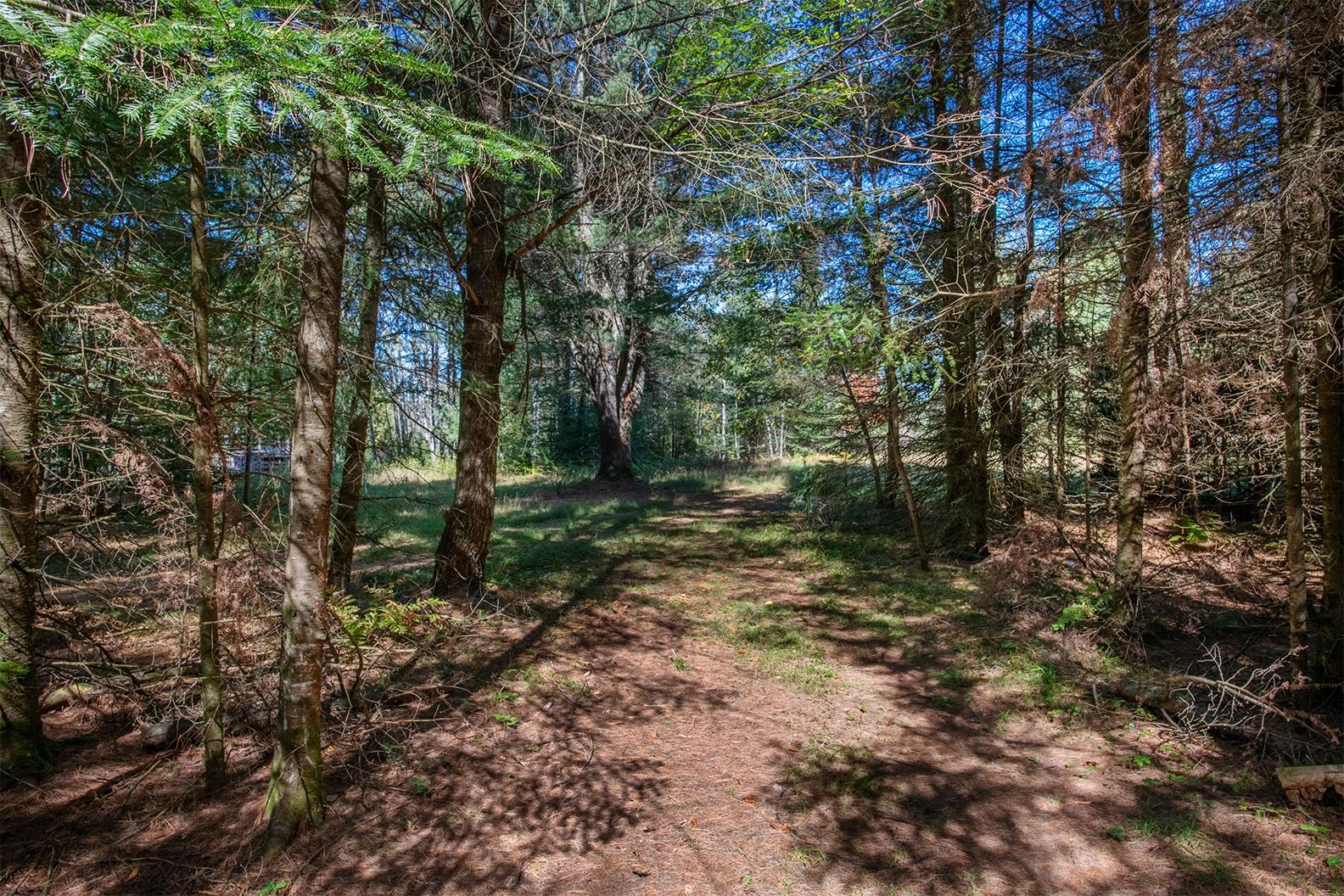 3922 Tre Fiske Road Rhinelander, WI 54501 - Photo 19 of 38 Gallery Image 19