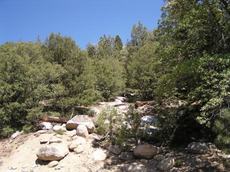 0 Piute Pines Caliente, CA 93518 - Photo 5 of 20 Gallery Image 5