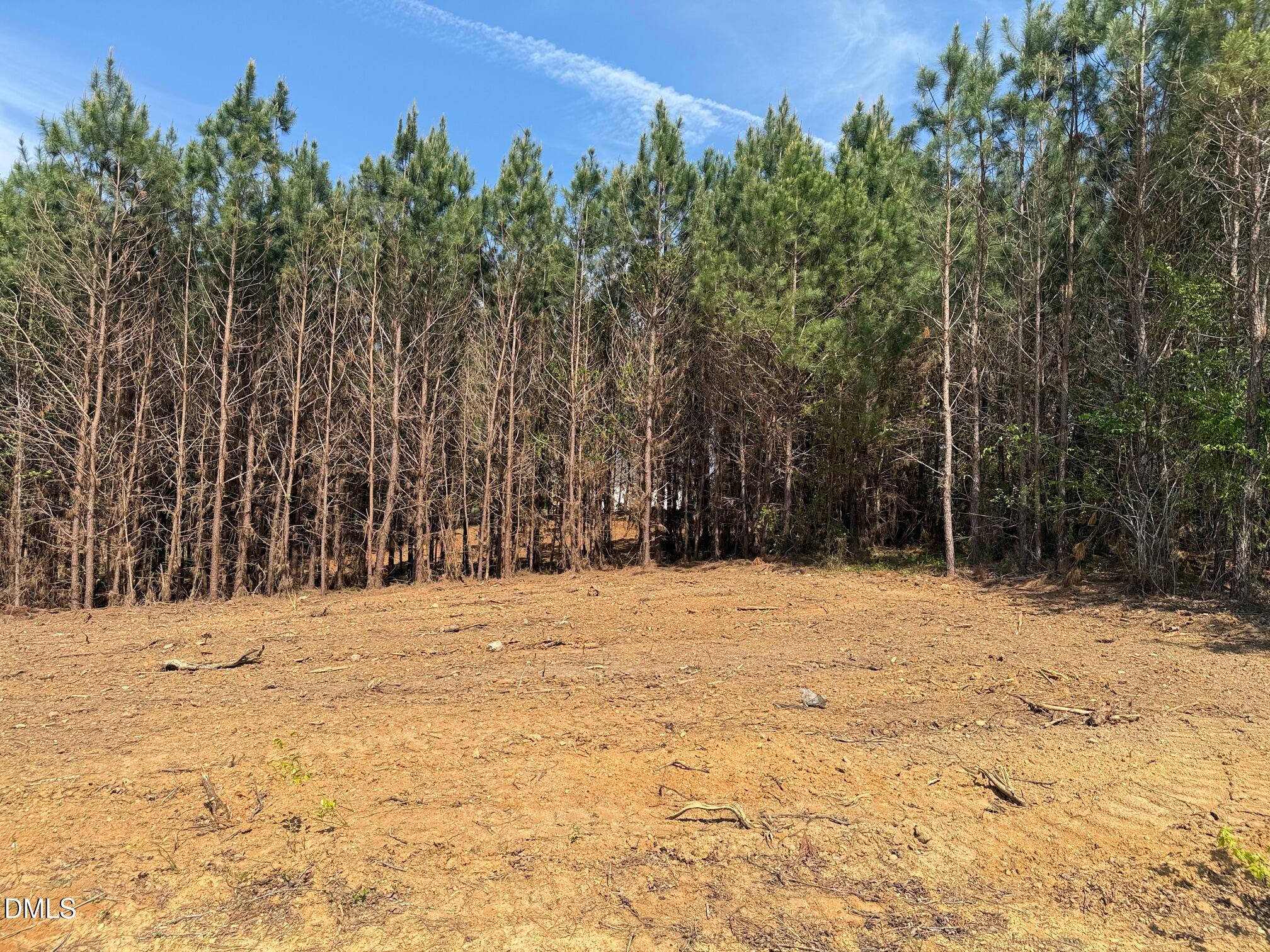 2345 Peachtree Hills Road Spring Hope, NC 27882 - Photo 4 of 12 IMG_3259