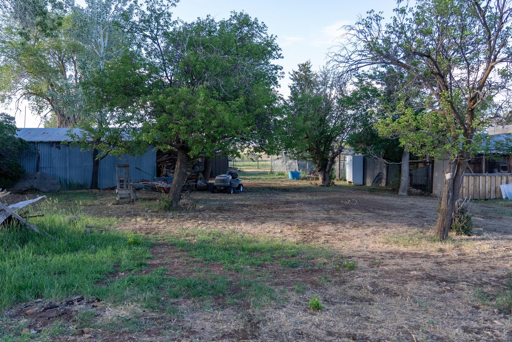 2122 County Road Norwood, CO 81423 - Photo 14 of 17 a view of a backyard with large trees and wooden fence