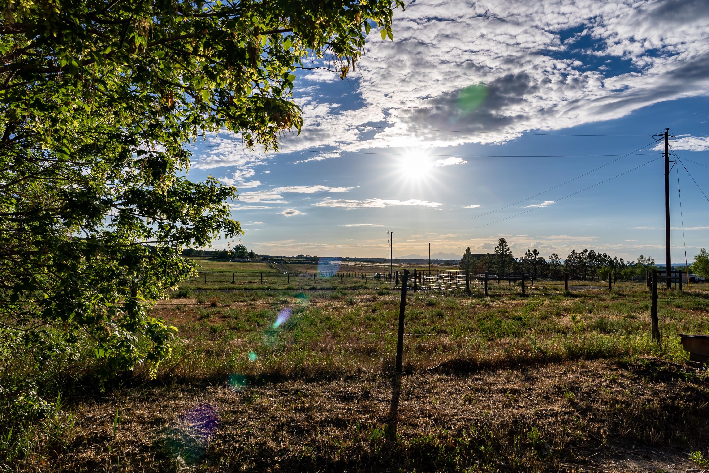 2122 County Road Norwood, CO 81423 - Photo 17 of 17 a view of a big yard