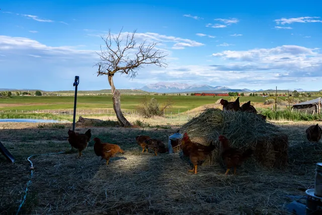 $499,000 | 2122 County Road, Norwood, CO 81423