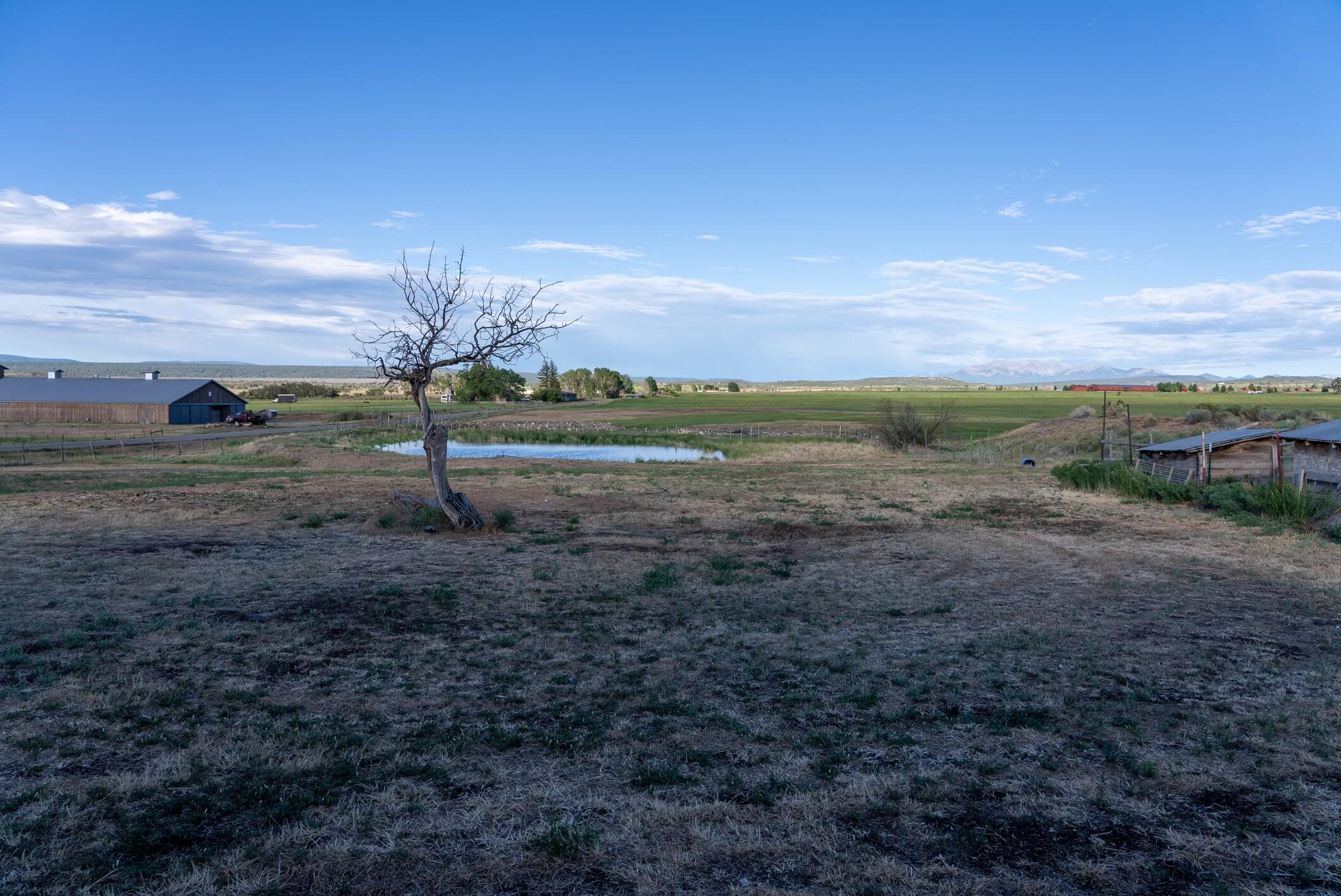 2122 County Road Norwood, CO 81423 - Photo 7 of 17 a view of a yard with wooden fence