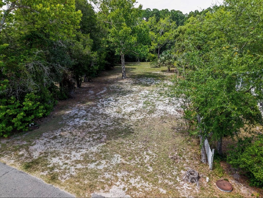 333 Old Ferry Dock Road Eastpoint, FL 32328 - Photo 4 of 5